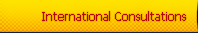 Consultations Outside India, International Consultations